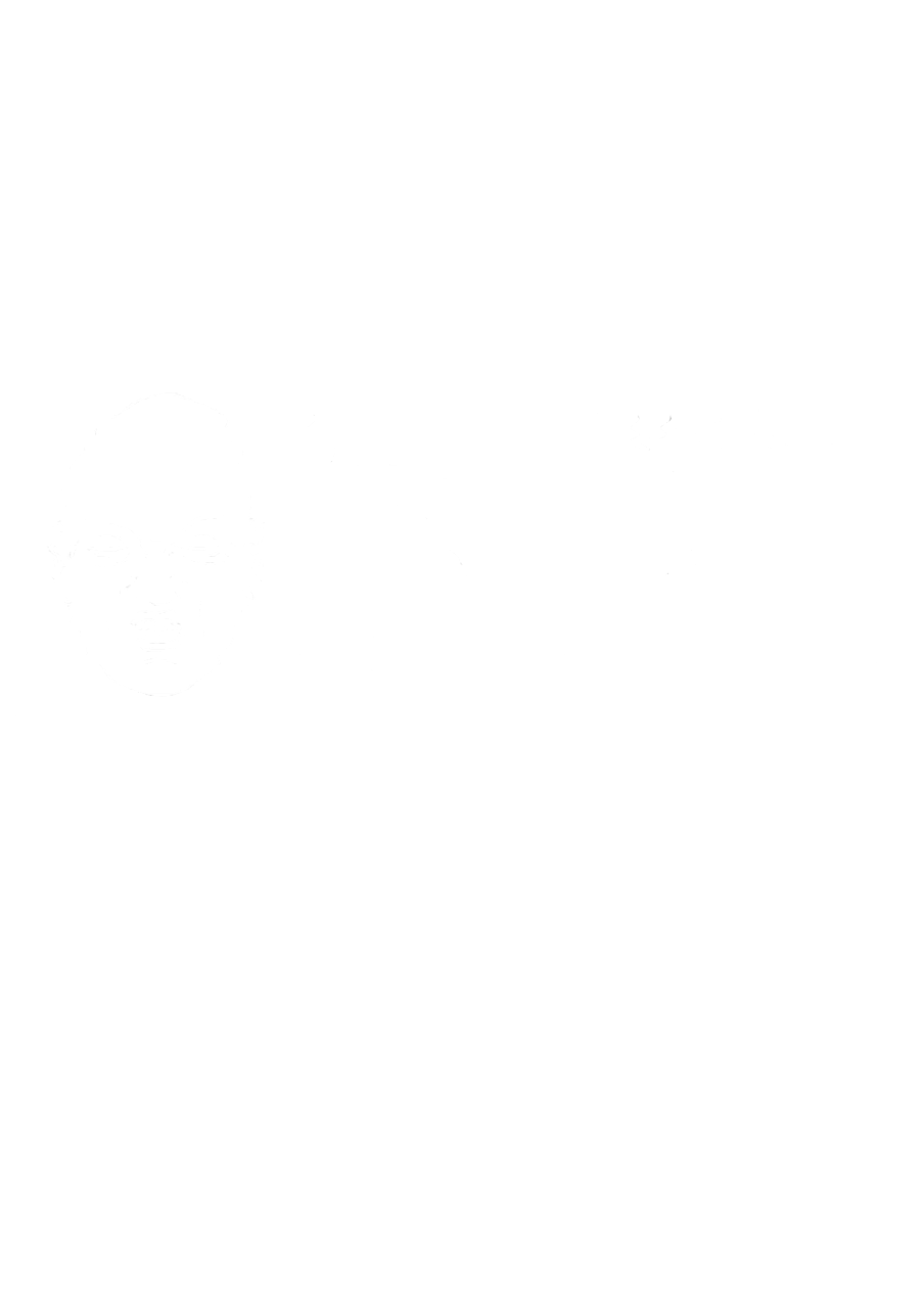 Nightmare Syndicate Records Logo